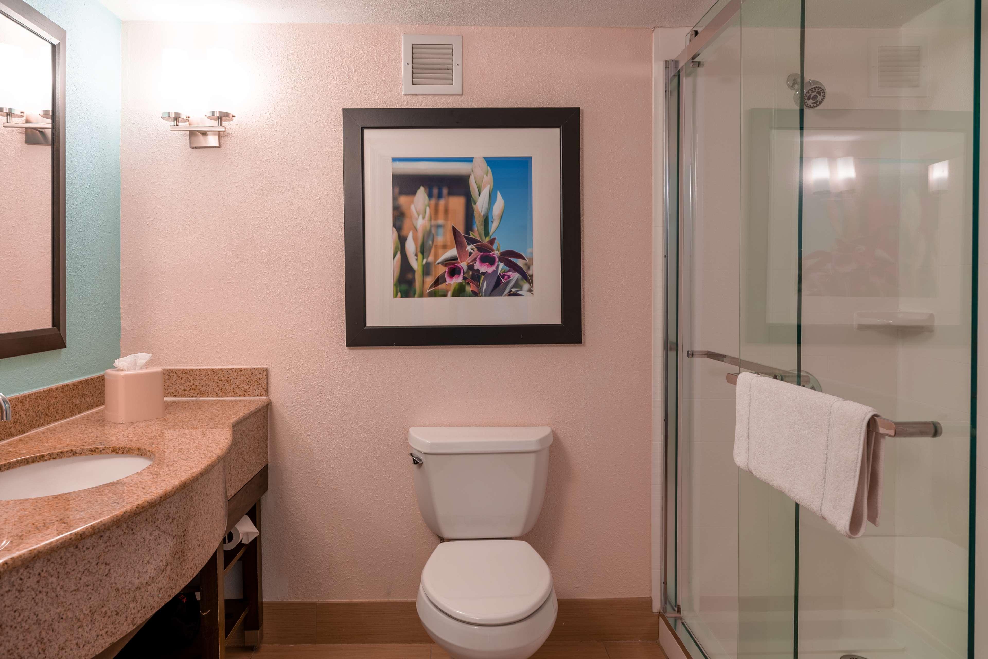 Hilton Garden Inn Orlando East - Ucf Area Alafaya Bagian luar foto