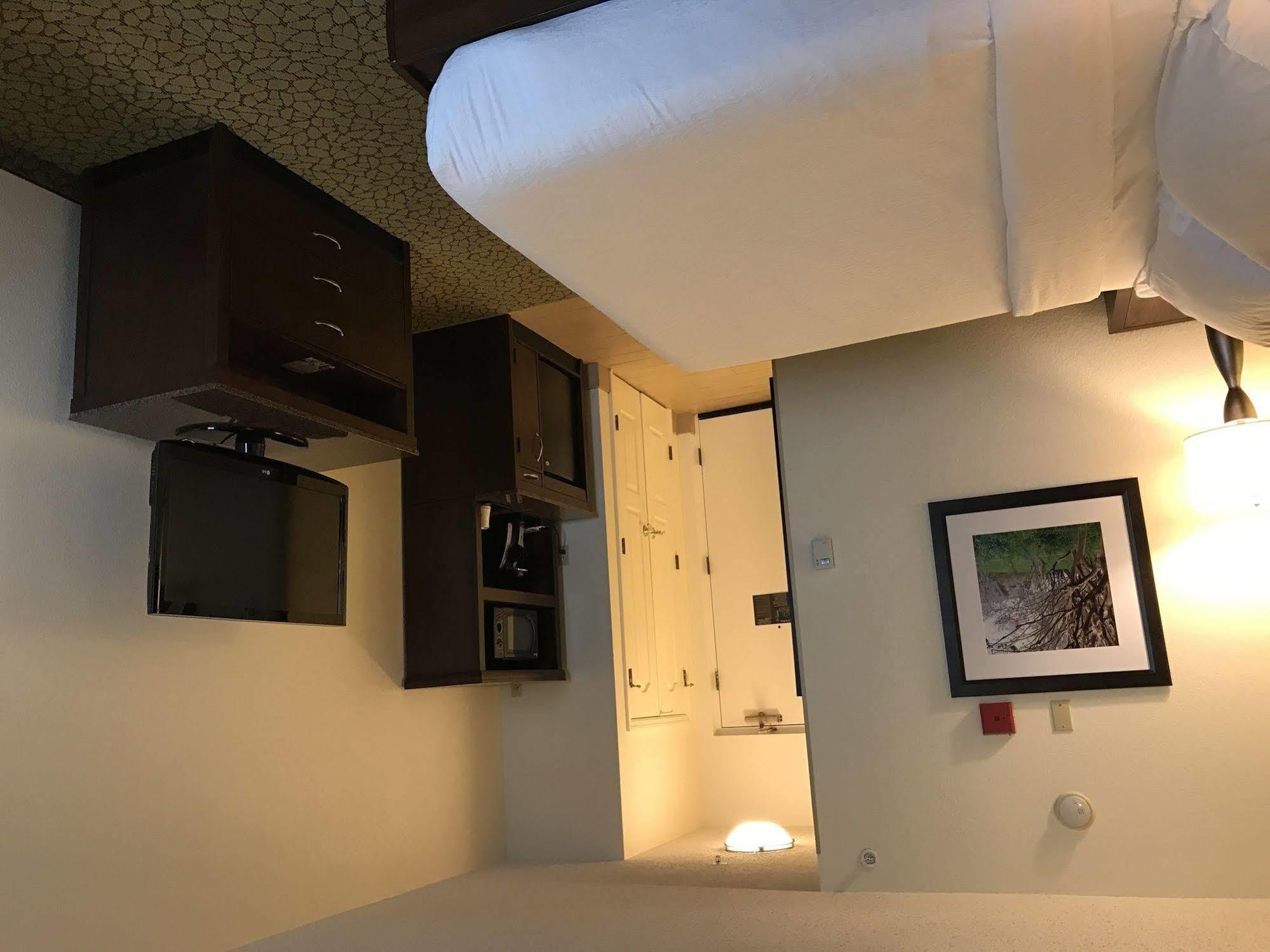 Hilton Garden Inn Orlando East - Ucf Area Alafaya Bagian luar foto